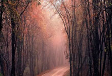 威客电竞平台:东体:阿马杜结束在法国的治疗,已返回上海继续康复.