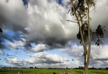 [NBA]劳森32+12 猛龙主场轻取奇才.