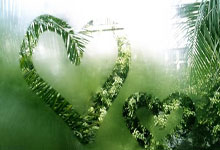 伊万科维奇:沙特是热门,但我们将竭尽全力实现梦想.