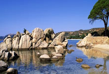 [图]英超-阿玛德救主 利物浦2-2曼联6分领跑积分榜.